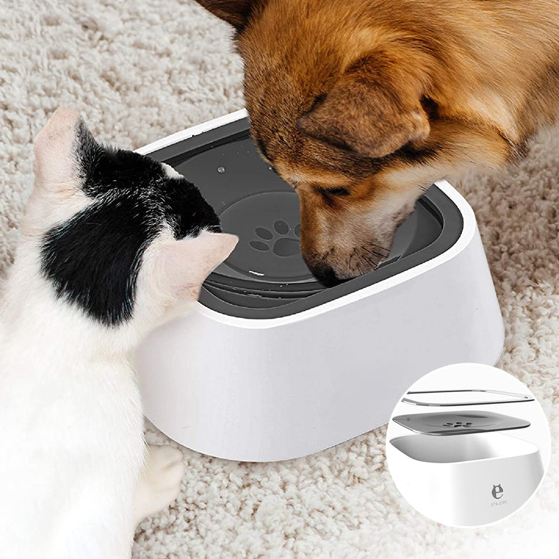 Norvo | Pets Zero Splash Bolle