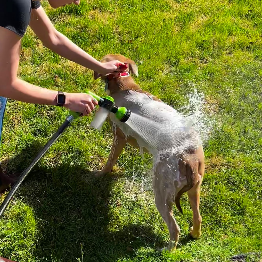 Norvo | Dusj: Høytrykk, Justerbar Og Skumfôret For Enkel Hundebading.