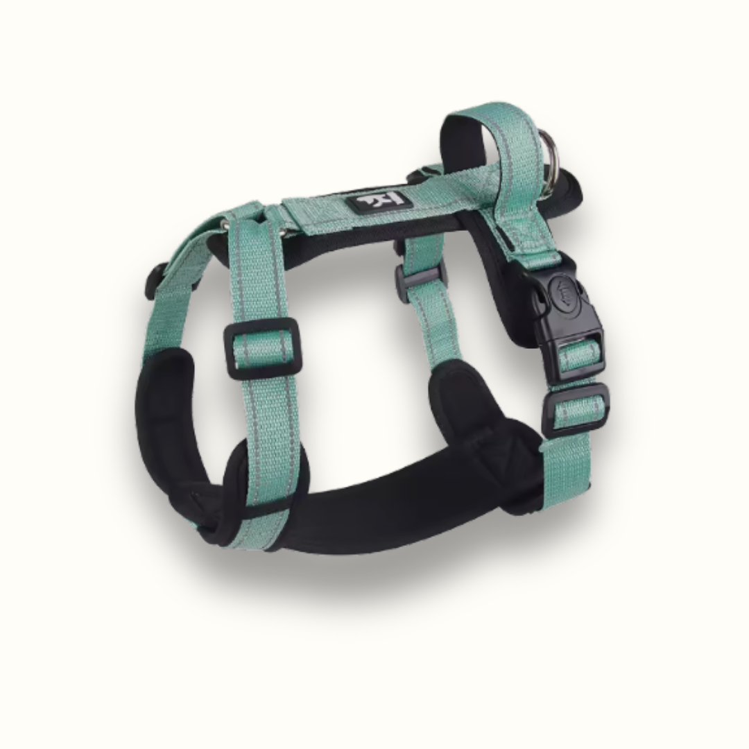 Norvo | StayPut - Justerbar No-Pull Hundesele