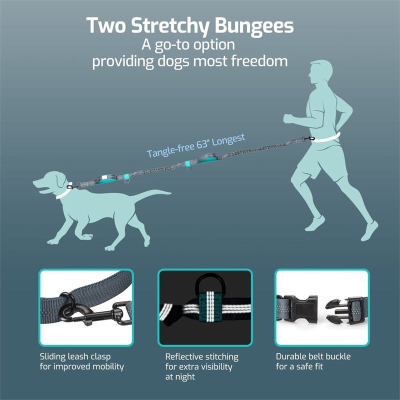 Norvo | Hands Free Dog Leash Set For Running