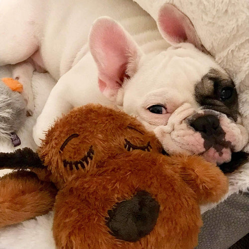 Norvo | Snuggle Puppy - Angsts- og ensomhetsdempende kosedyr
