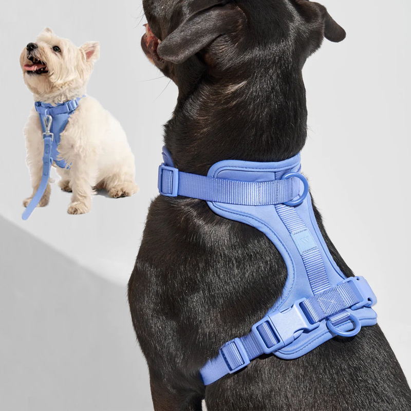 Norvo | Adjustable Dog Vest Harness with 3 Leash Clips