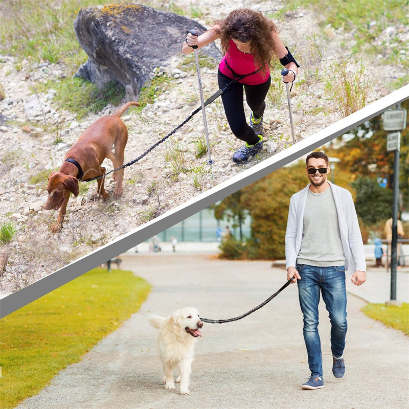 Norvo | Hands Free Dog Leash Set For Running