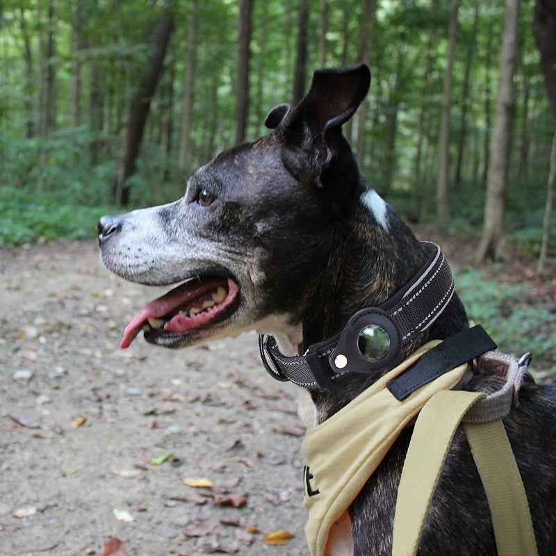 Norvo | Anti-tapte kjæledyr hundehalsbånd