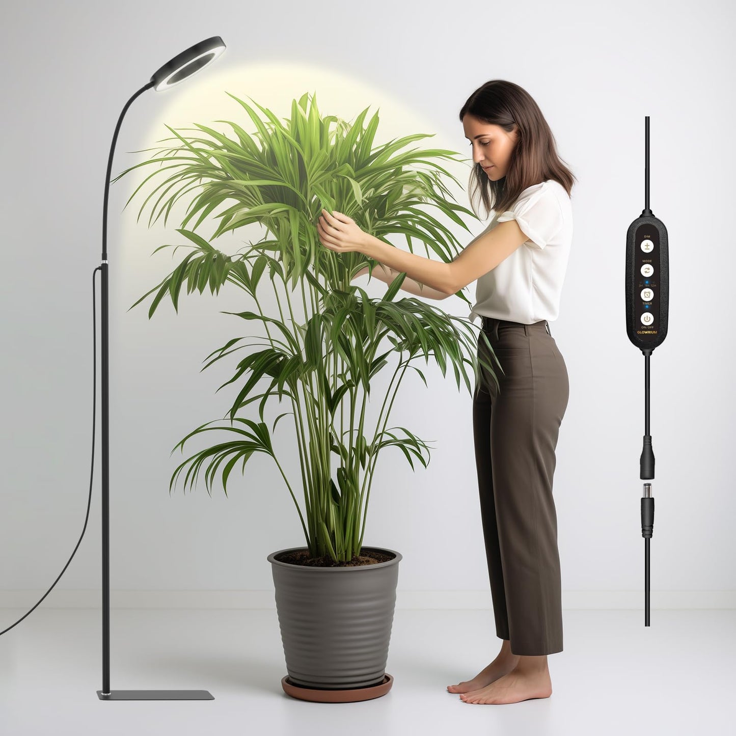 Norvo | Glowrium Vekstlys For Innendørsplanter, 20W Led Plante Vekstlys Med Automatisk Timer, Full Spektrum Justerbar Høyde Stående Plante Vekstlys, 3 Lysmodus, 6-Nivå Dimbar (Svart)