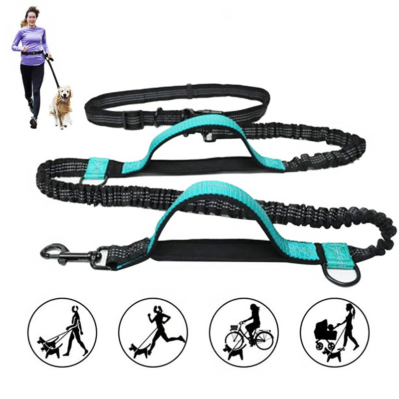 Norvo | Hands Free Dog Leash Set For Running
