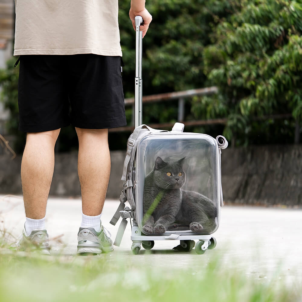Norvo | Zweck Kjæledyr Trolley Veske Bærer Katter Gjennomsiktig Rygsekk Med Stillhjul