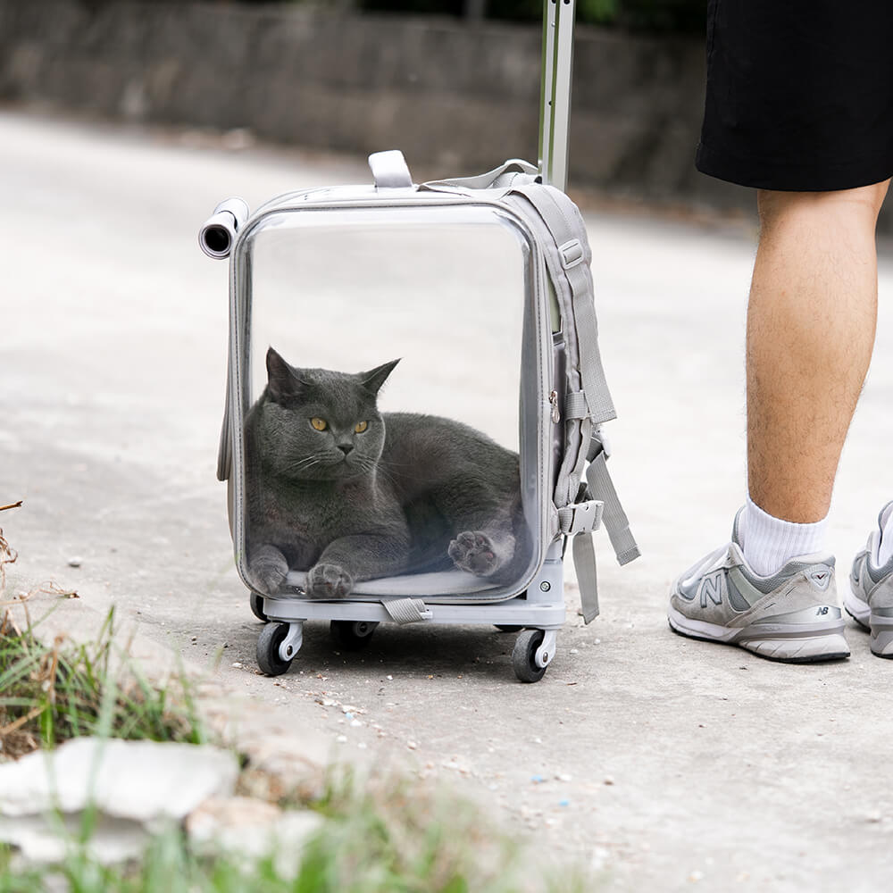 Norvo | Zweck Kjæledyr Trolley Veske Bærer Katter Gjennomsiktig Rygsekk Med Stillhjul