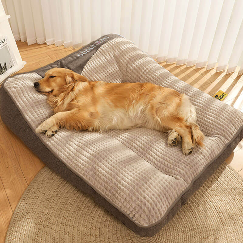 Norvo | Tykk ripebeskyttende ryggbeskyttelse hundeseng