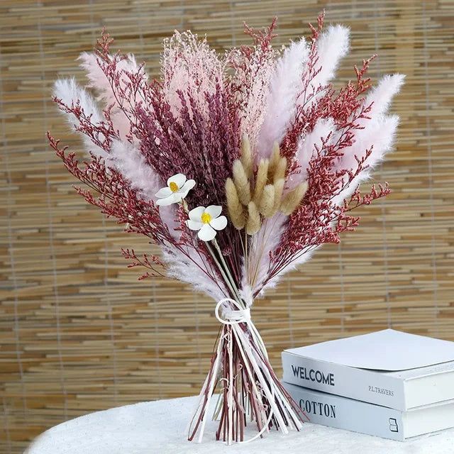 Norvo - Cozy Pampas Grass
