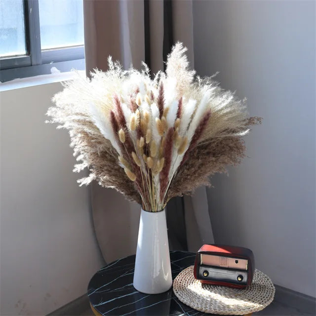 Norvo - Cozy Pampas Grass