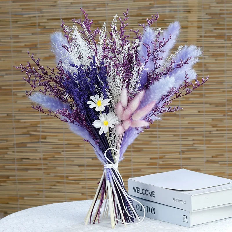 Norvo - Cozy Pampas Grass