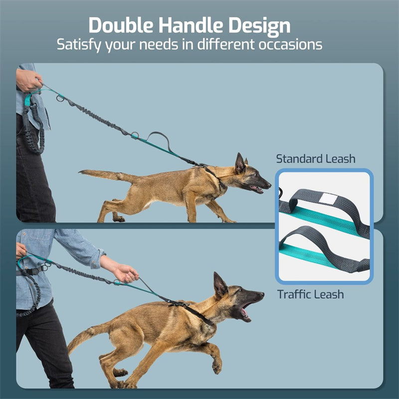 Norvo | Hands Free Dog Leash Set For Running
