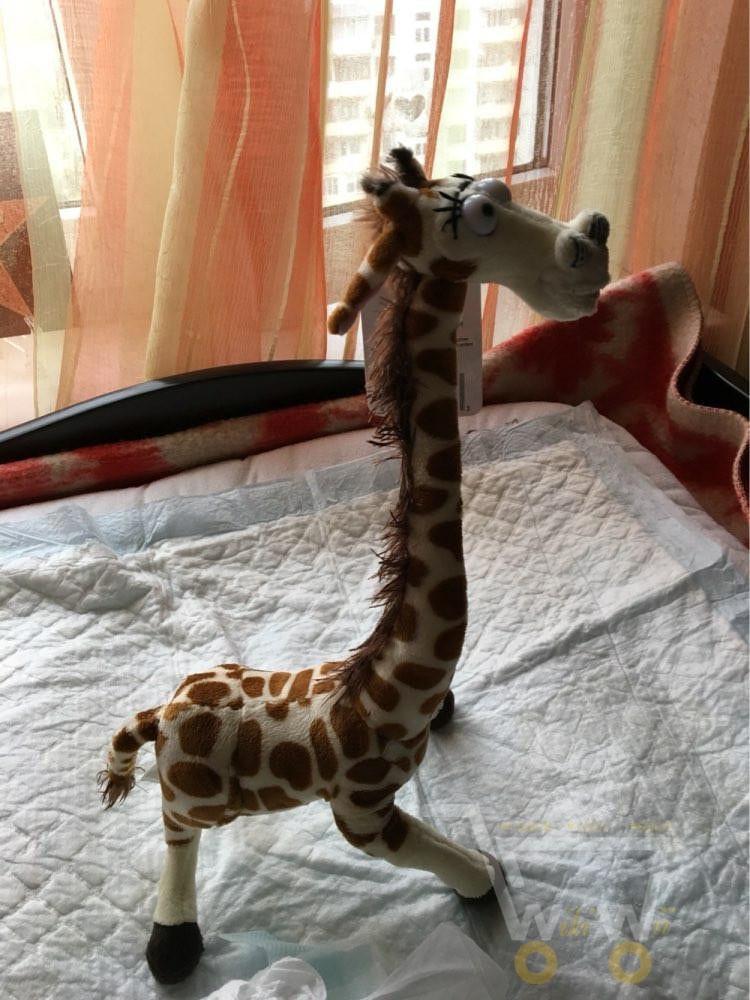 Norvo | Giraffe Kosedyr