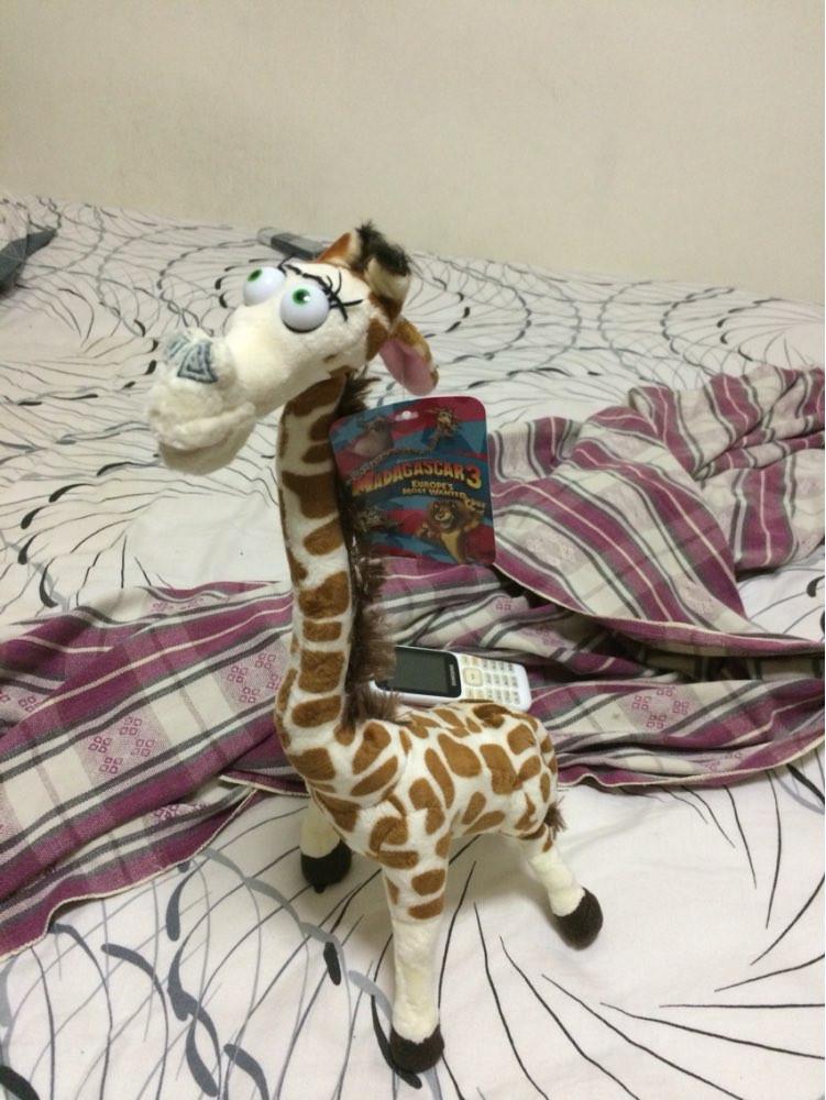 Norvo | Giraffe Kosedyr