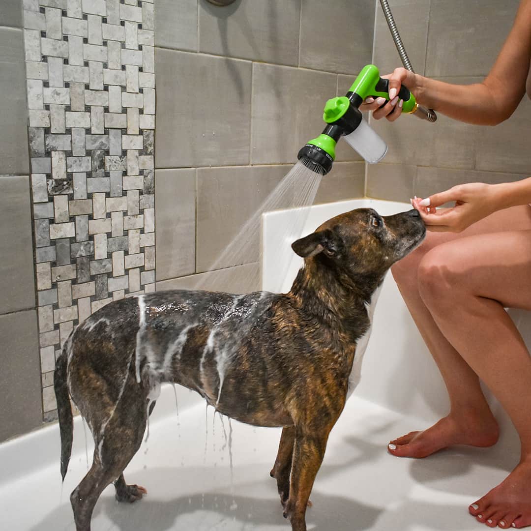Norvo | Hundefor dusj sprayer - WashBuddy