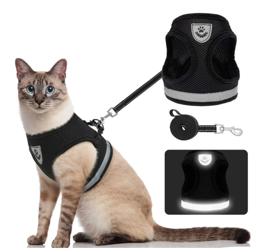 AdventureKit - Sikkert utstyr for eventyrlystne katter