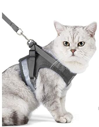 AdventureKit - Sikkert utstyr for eventyrlystne katter
