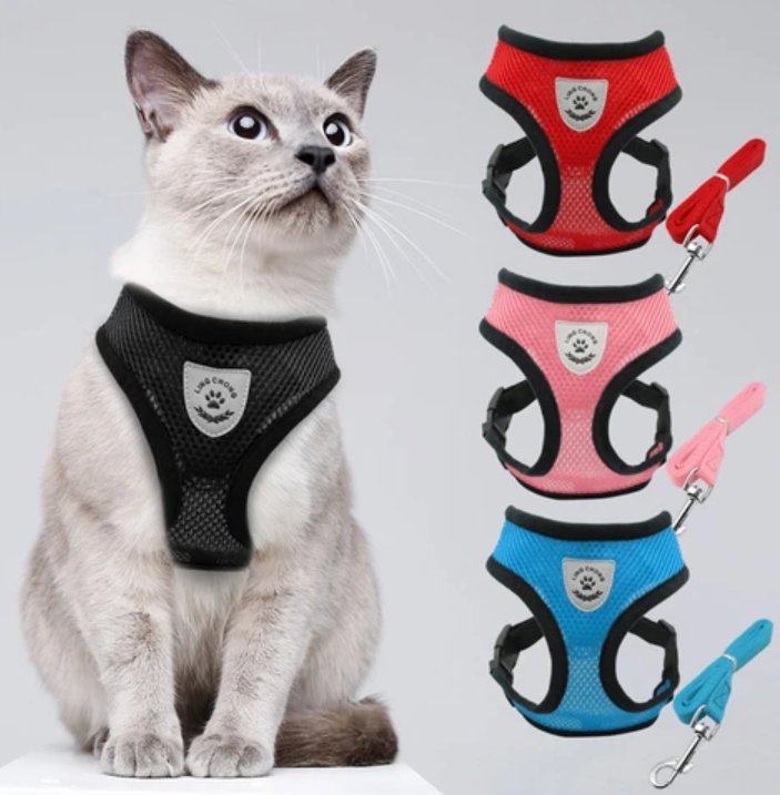 AdventureKit - Sikkert utstyr for eventyrlystne katter