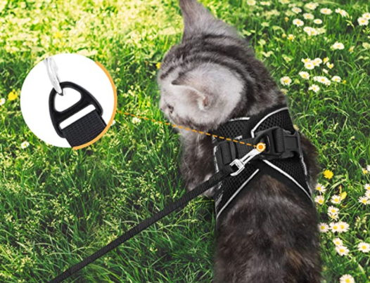 AdventureKit - Sikkert utstyr for eventyrlystne katter