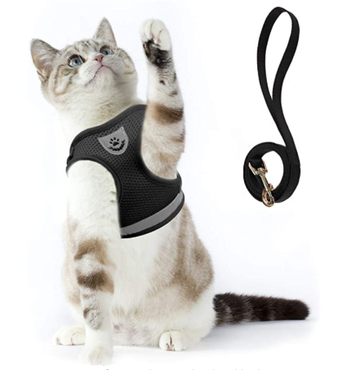 AdventureKit - Sikkert utstyr for eventyrlystne katter