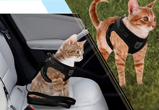 AdventureKit - Sikkert utstyr for eventyrlystne katter