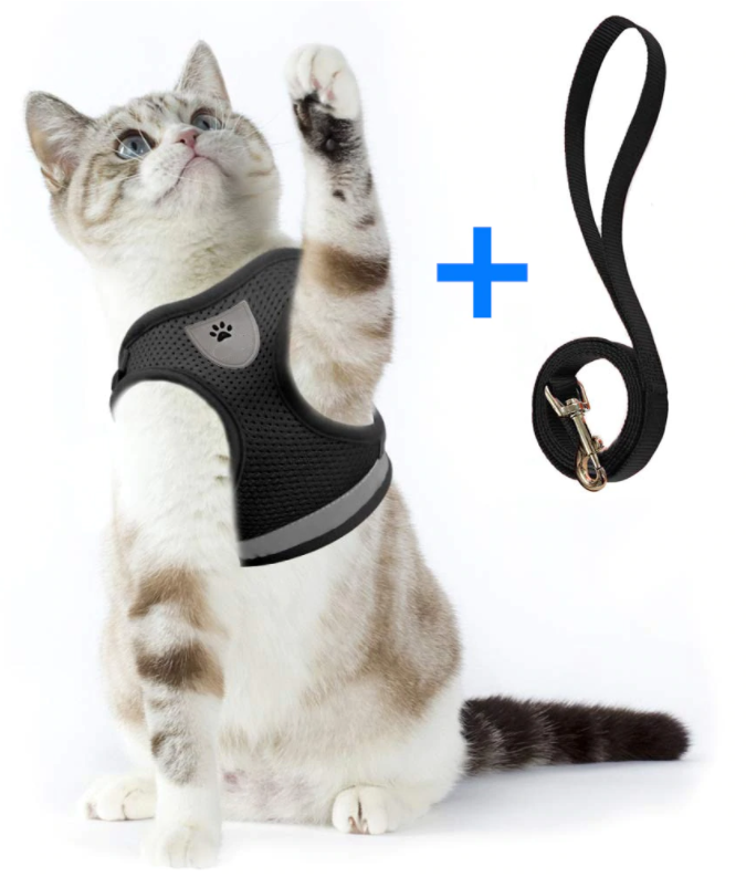 AdventureKit - Sikkert utstyr for eventyrlystne katter