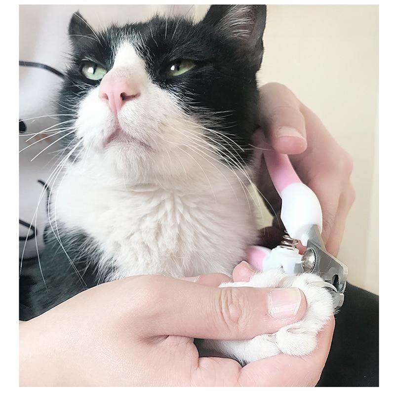 Norvo | Profesjonell kjæledyr katt hund negleklipper cutter rustfritt stål pleie sakser klipper klo negleklipper med lås (Blå 14x6cm)