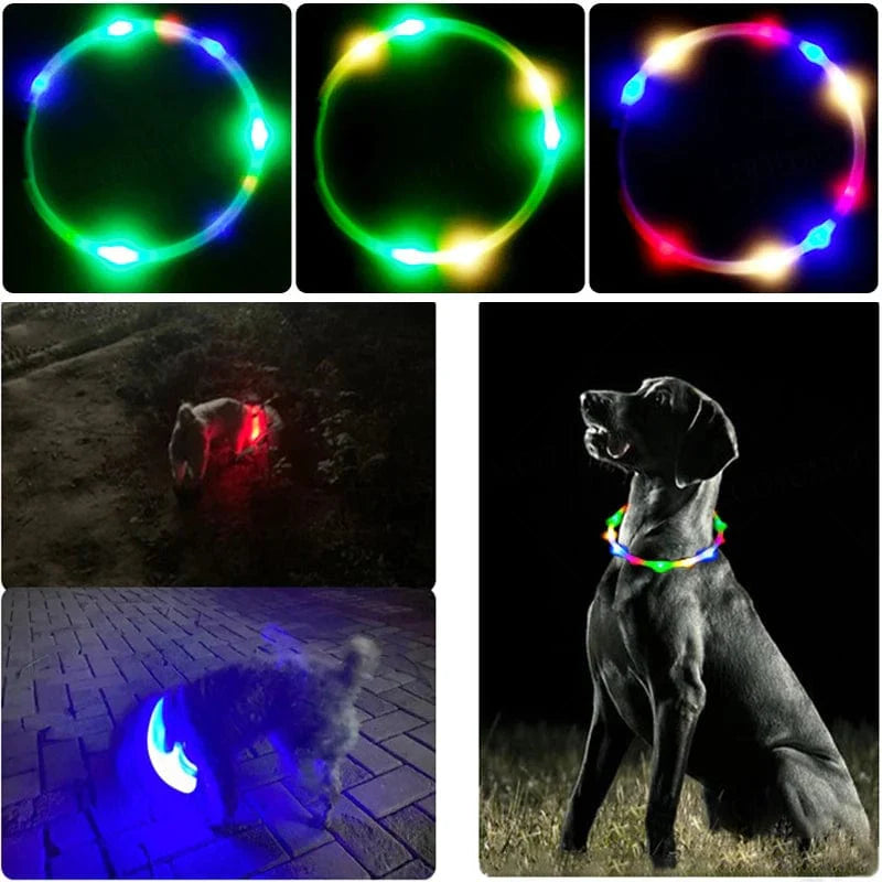 Norvo | 3 Modi Hund Luminous Ladehalsband Led Usb Katt Silikon Farger Halsbånd Avtagbar Nattslysende Kjæledyr Tapforebygging Hundetilbehør