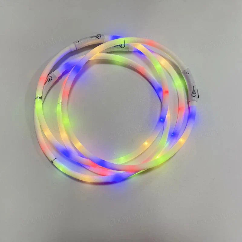 Norvo | 3 Modi Hund Luminous Ladehalsband Led Usb Katt Silikon Farger Halsbånd Avtagbar Nattslysende Kjæledyr Tapforebygging Hundetilbehør