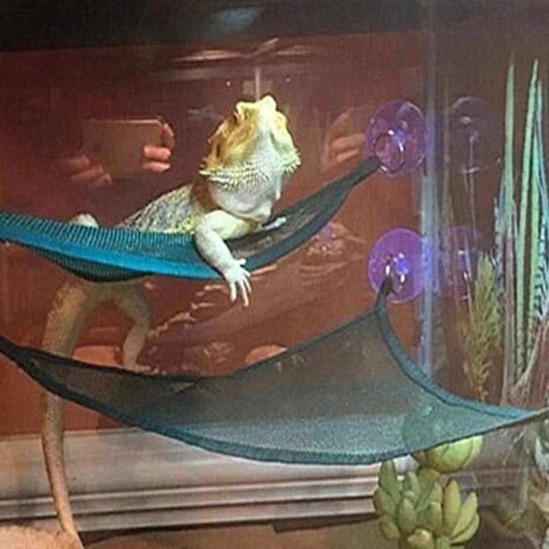 Norvo | Reptil-hengekøye Lounger stige tilbehørssett for store små skjeggagamer Anolis gekkoer øgler eller slanger reptil tilbehør