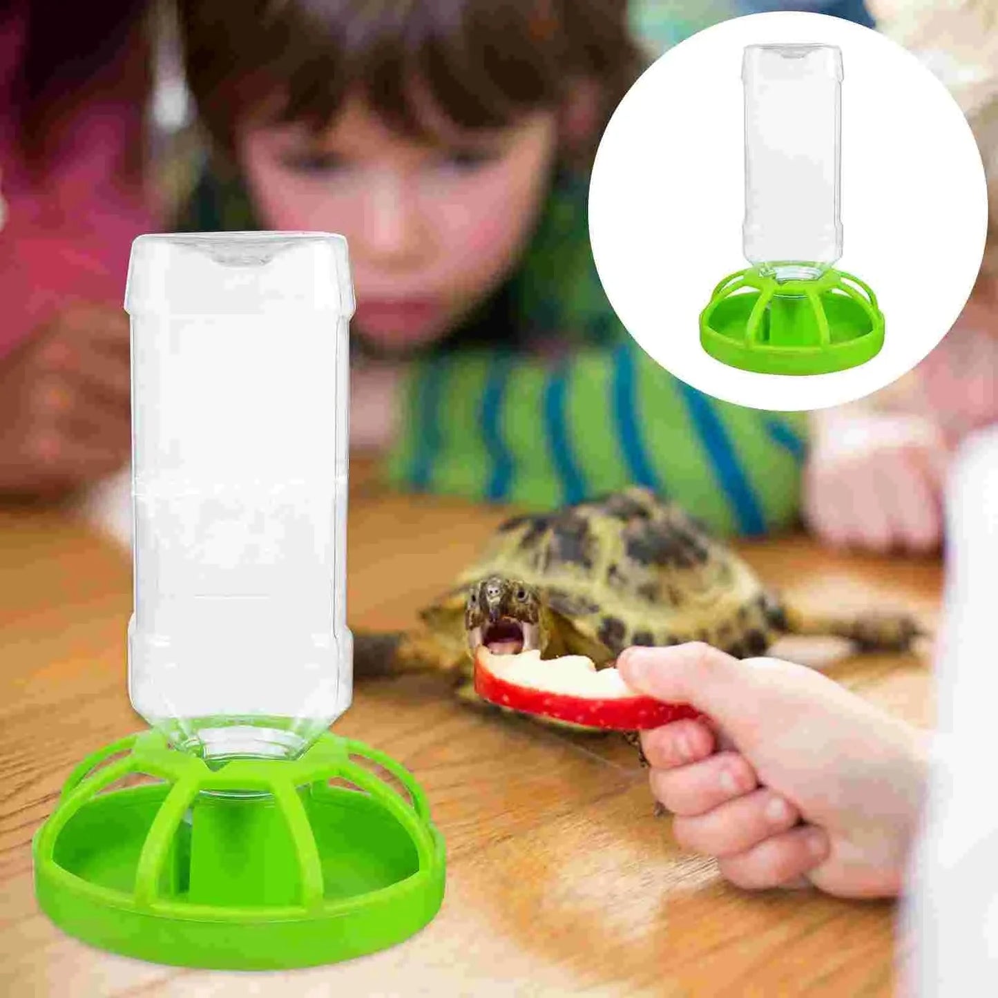 Norvo | Vannfôrer Jordskilpadde tilbehør Gecko Terrarium tilbehør Reptiler for Perlemor