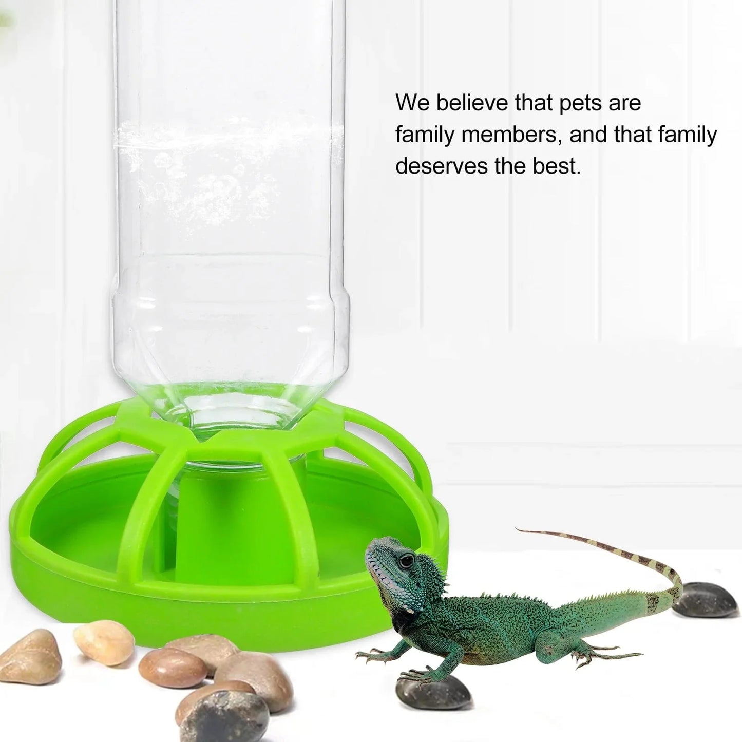 Norvo | Vannfôrer Jordskilpadde tilbehør Gecko Terrarium tilbehør Reptiler for Perlemor