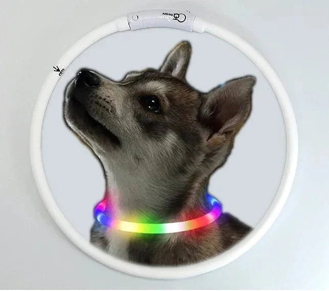 Norvo | 3 Modi Hund Luminous Ladehalsband Led Usb Katt Silikon Farger Halsbånd Avtagbar Nattslysende Kjæledyr Tapforebygging Hundetilbehør