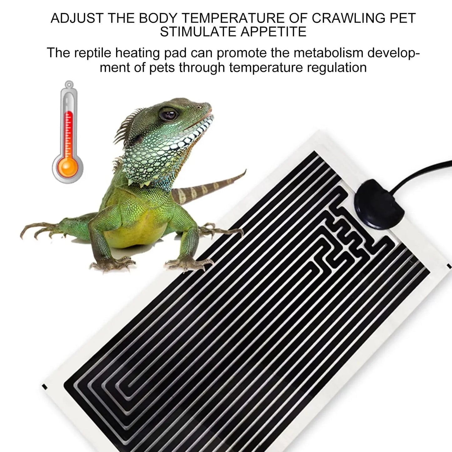 Norvo | Terrarium Akvarium Reptil Varmepute Klatring Kjæledyr Oppvarming Varmeputer Justerbar Temperaturregulator Matter Reptil Tilbehør