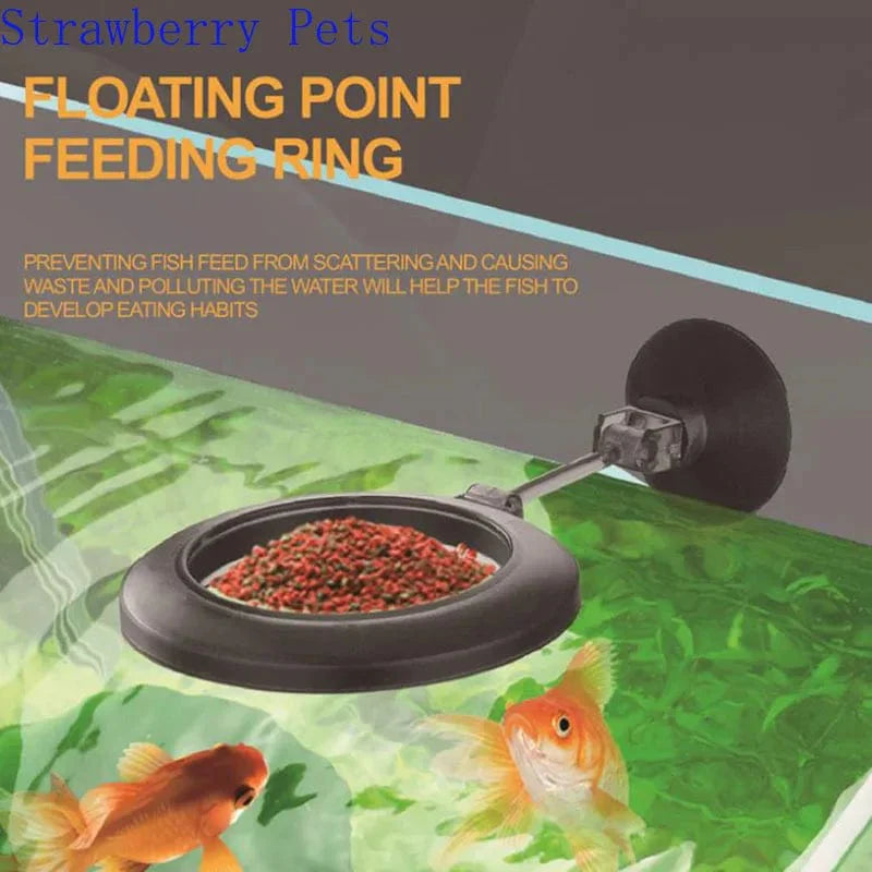 Norvo | Akryl-Akvarium-Fôrslange-Sett Skål Transparent Fiskekar Reker Snegl Fôrdispenser Skål Akvarium Fôringstilbehør Reker
