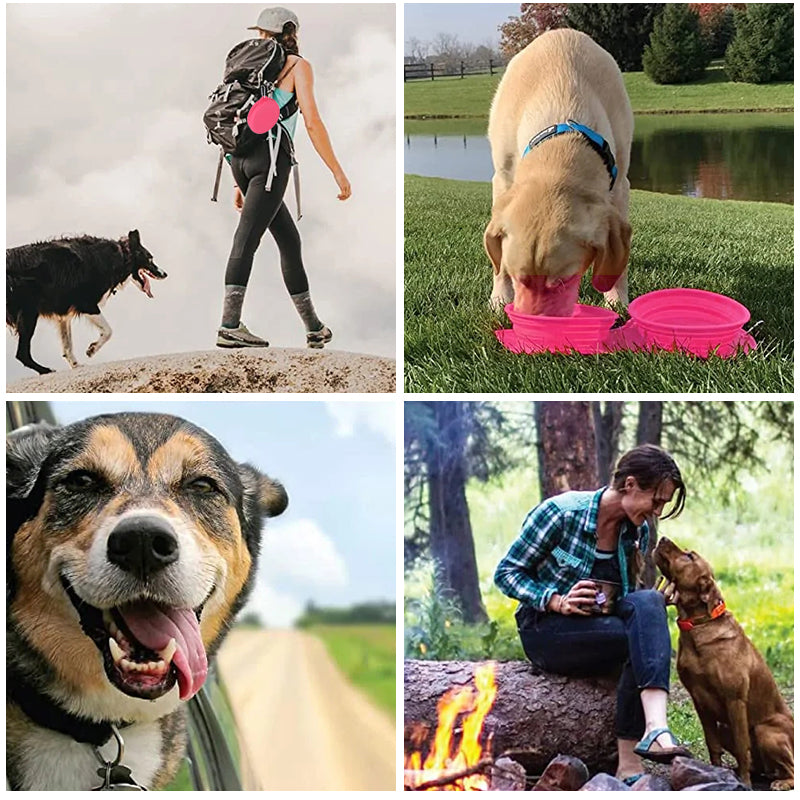 Skanto | Pawfun Reise Hund Middag Sett