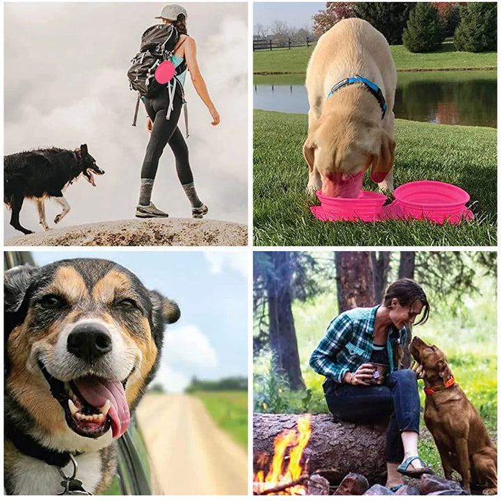 Skanto | Pawfun Reise Hund Middag Sett