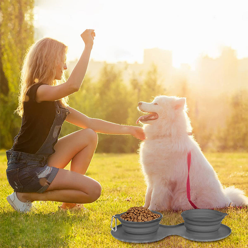 Skanto | Pawfun Reise Hund Middag Sett