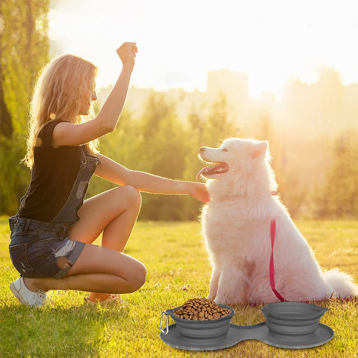 Skanto | Pawfun Reise Hund Middag Sett