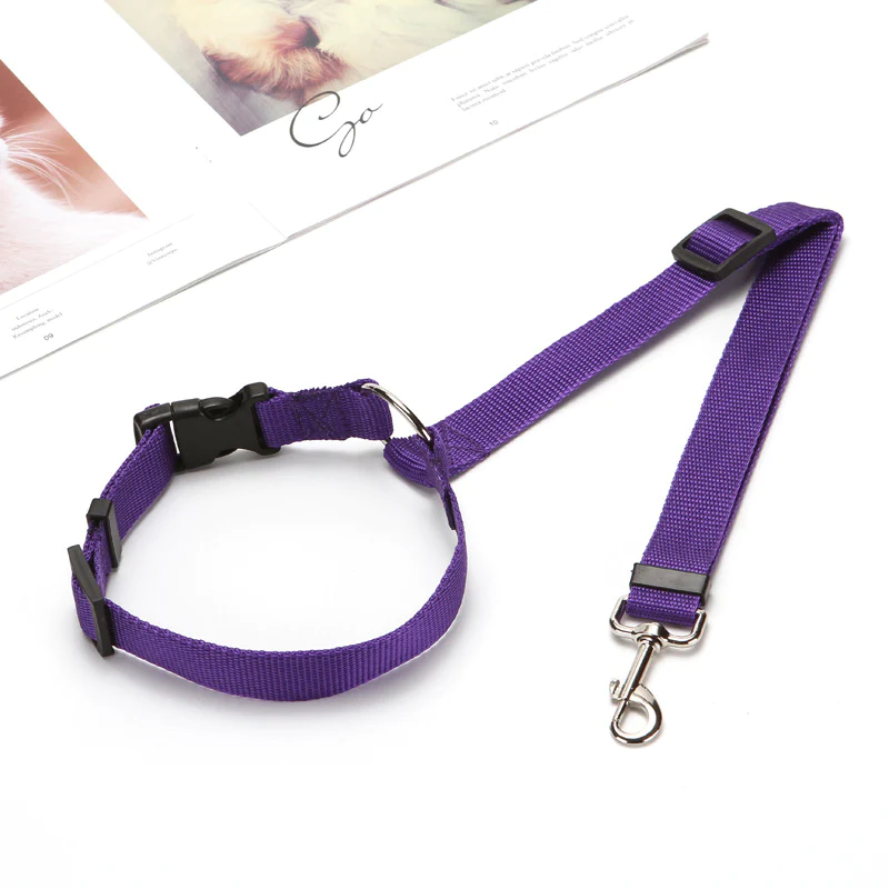 Skanto | Justerbar Bil Hundebånd