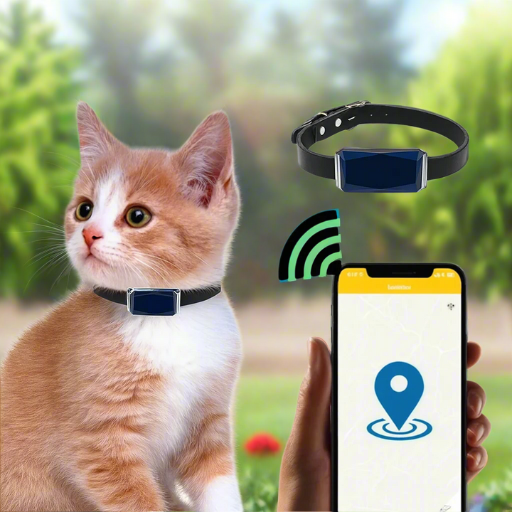 Skanto | GPS Tracker Realtime Lær Pet Krage