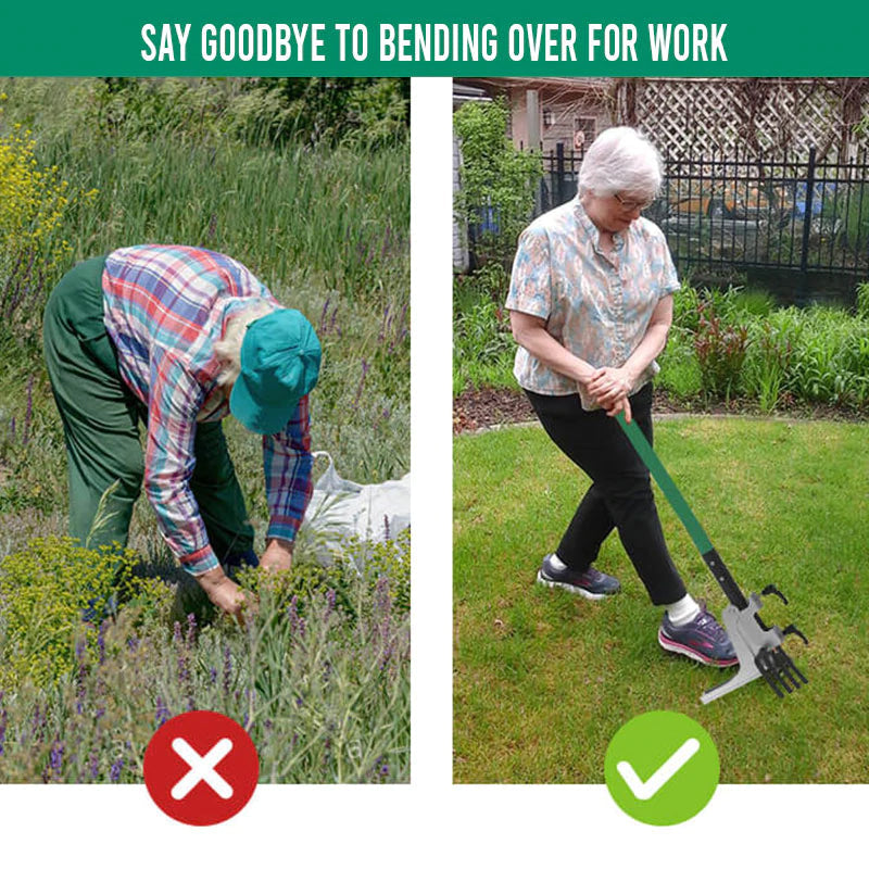 Ultimate Gardening Assistant Tool | Skanto