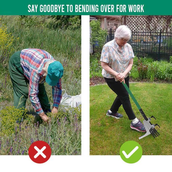 Ultimate Gardening Assistant Tool | Skanto