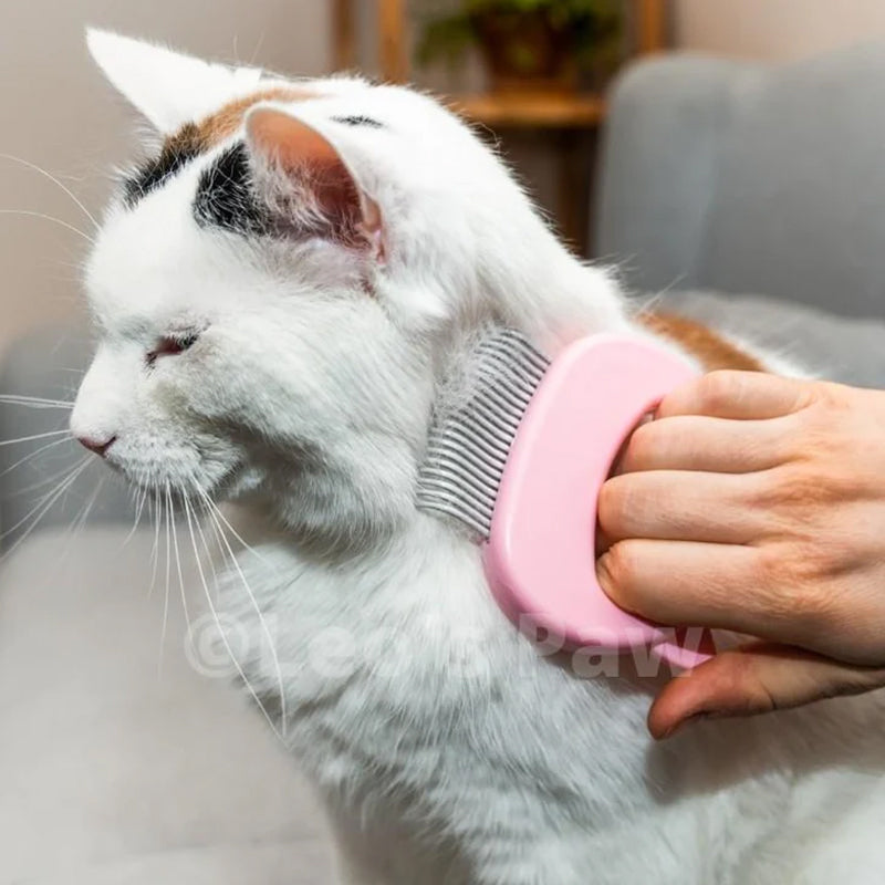 Skanto | Katt Hårfjerning Masserende Skall Kam
