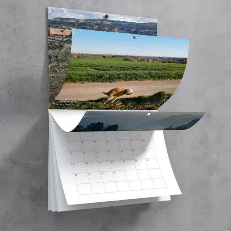 Skanto | Poopende Hunder Hundekalender