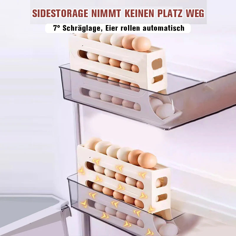 Fire-lags Egg Storage Rack | Skanto