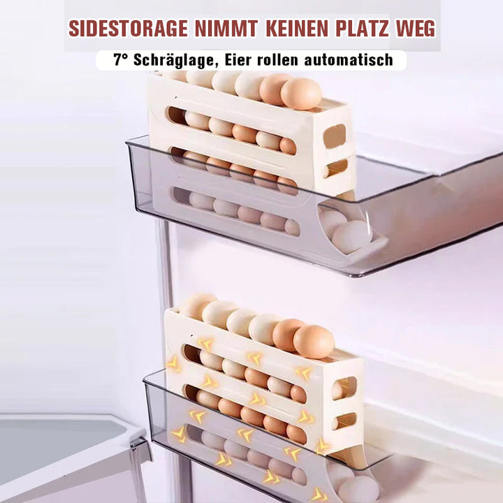 Fire-lags Egg Storage Rack | Skanto