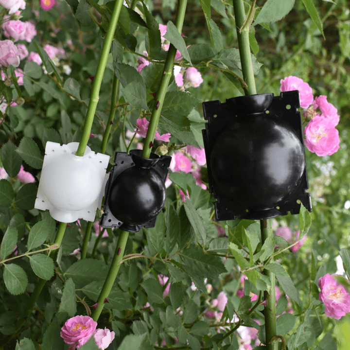 Skanto | Luftlagdeling Planteformeringskapsel