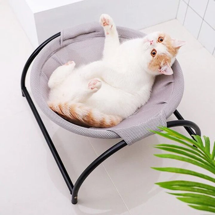 Skanto | Gulv Katt Hamock-Med Stativ